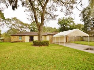 429 Debbie Joy Pl, Brandon, FL 33511