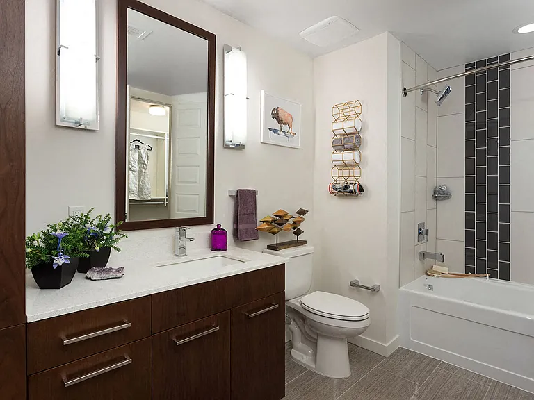 Large soaking tubs with rainwater shower heads