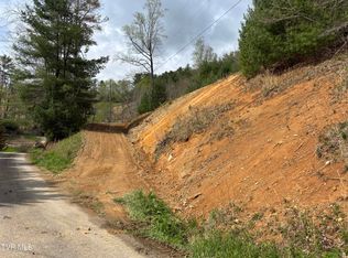 0 Joe Wallace Rd, Trade, TN 37691