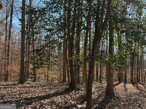 0 Lewis Dr, Lavonia, GA 30553