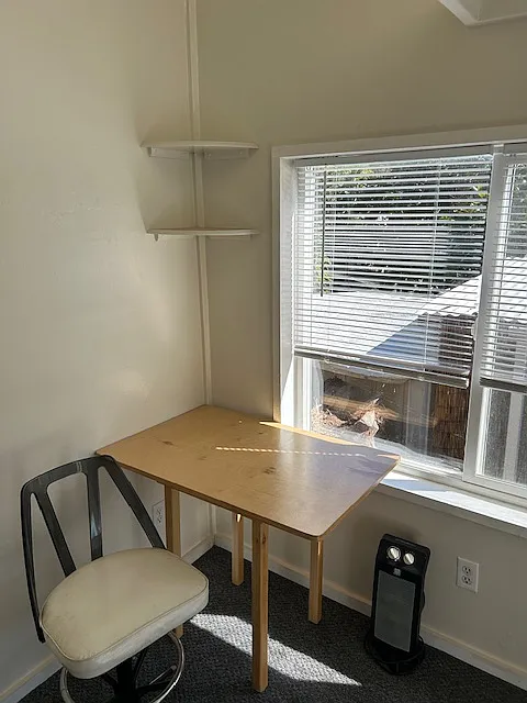 Studio, 175 sqft, $1,500 — Photo 3