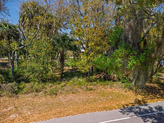 5th image of 307 Jungle Rd