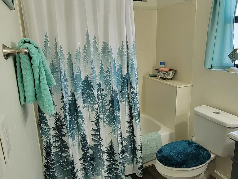 Master Bath with tub/shower