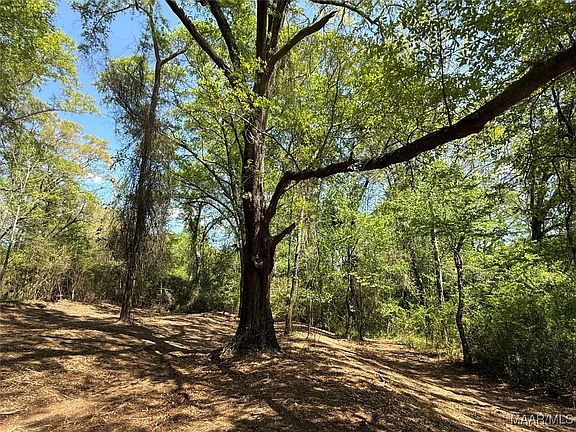 5th image of 2 County Road 81