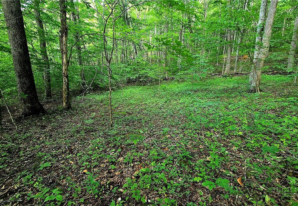 1st image of Lot 11 Elk Creek Mountain Prkwy