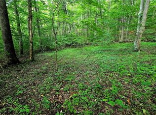 Lot 11 Elk Creek Mountain Prkwy, Todd, NC 28684