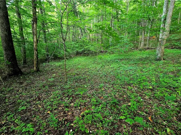 Lot 11 Elk Creek Mountain Prkwy, Todd, NC 28684