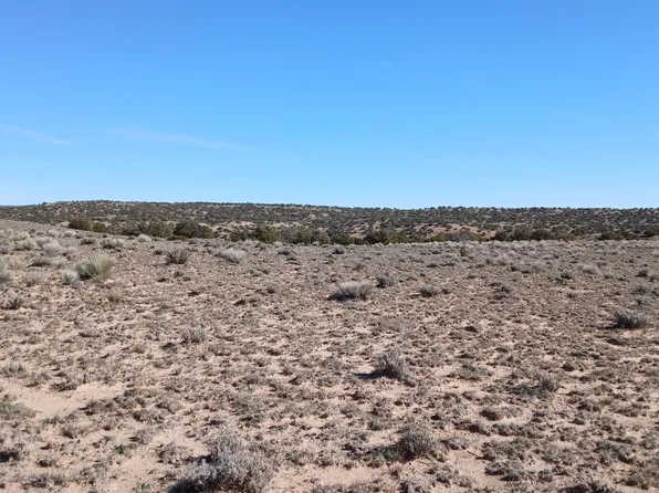 Blackfoot Trl #70, Sanders, AZ 86512