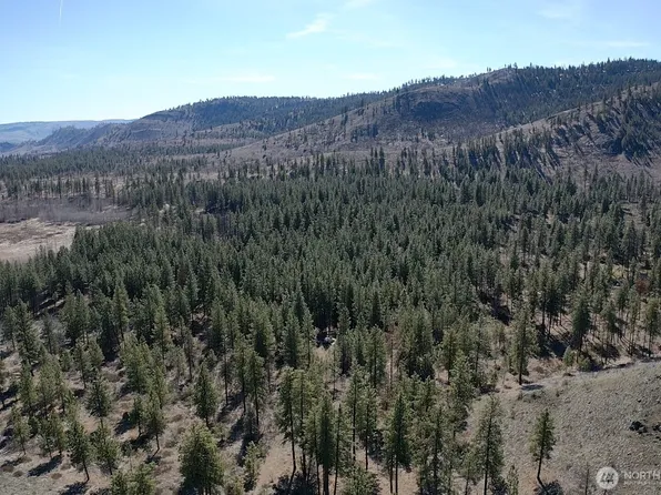 0 NHN Washington Creek Road, Chelan, WA 98816