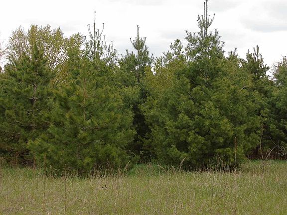 3rd image of L10 Pine Aire Dr