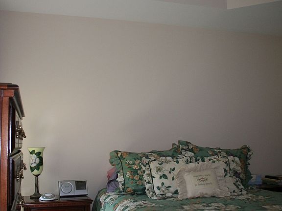 Trey ceiling in master