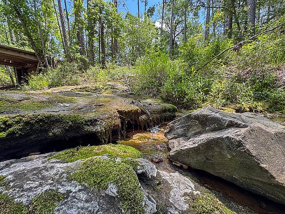 Fm 355/chita Cemetary Rd, Trinity, TX 75862 | MLS #58732989 | Zillow