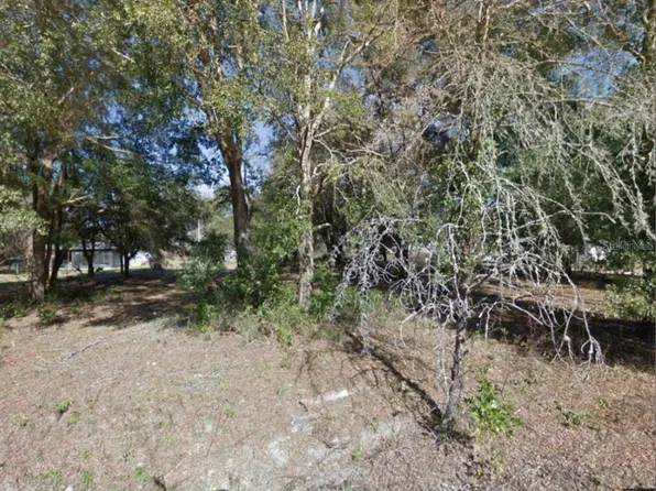 17449 NW 89th Ter, Fanning Springs, FL 32693