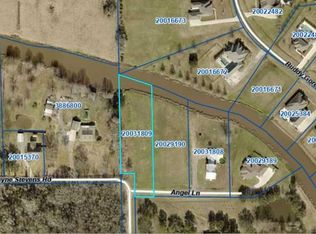 43306 Angel Ln, Gonzales, LA 70737