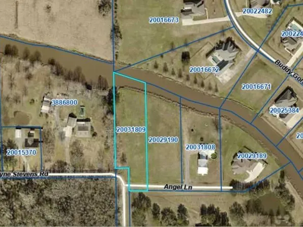 43306 Angel Ln, Gonzales, LA 70737