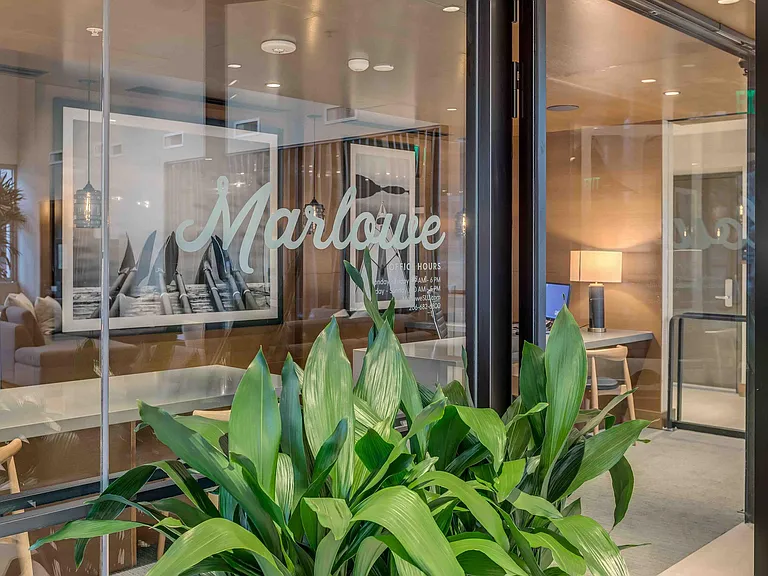 Marlowe — Photo 11