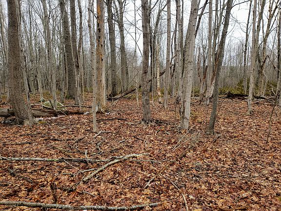 photo #3