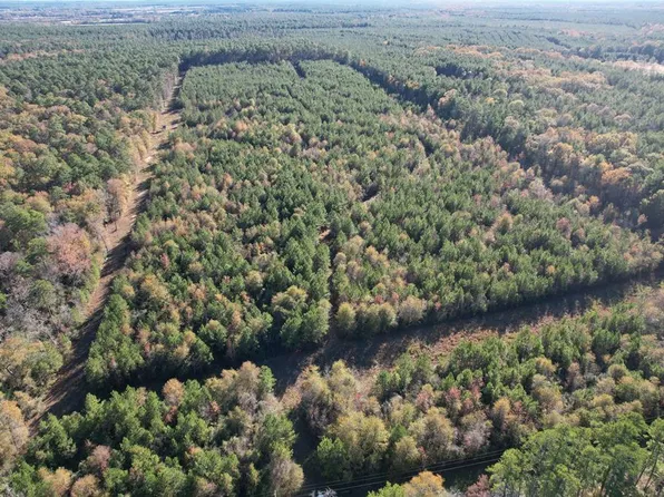 1729 Neal Rd S, Huntington, TX 75949