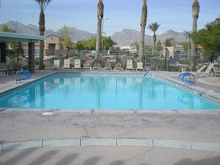Desert Bloom Pool