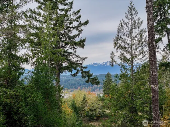 541 NE Squire Lane, Belfair, WA 98528