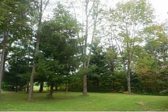 LOTS OF YARD - LOTS OF TREES