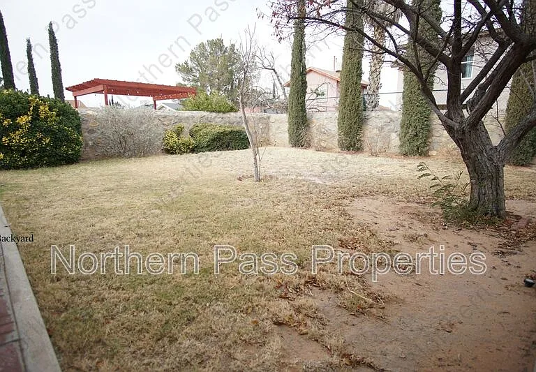 11831 Vere Leasure Dr — Photo 23