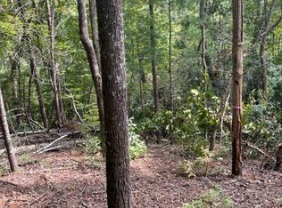 7 Alte Bruecke Strasse, Helen, GA 30545