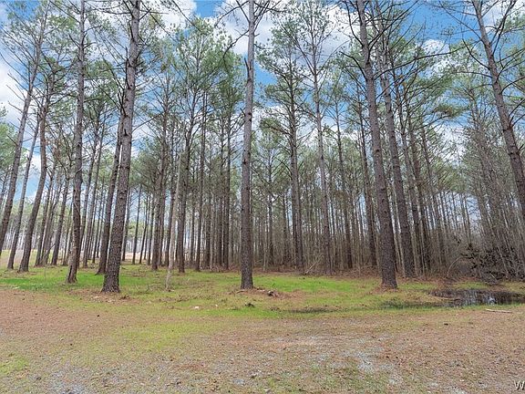 5th image of 17 Stormi Way