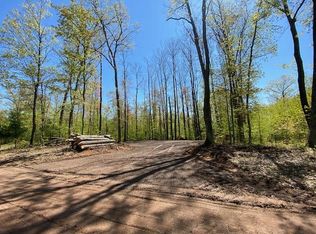 29246 Honker Holw, Danbury, WI 54830