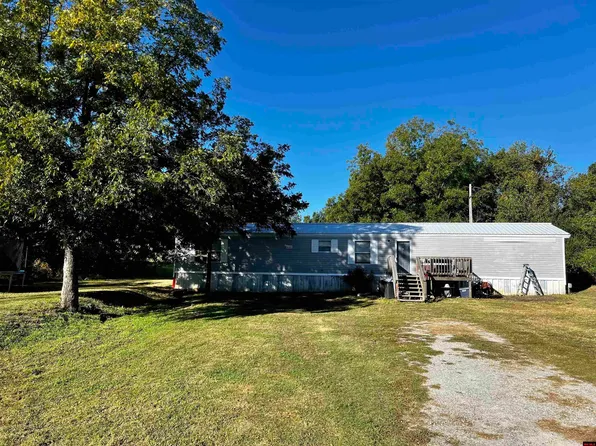 42 Circle Dr, Viola, AR 72583