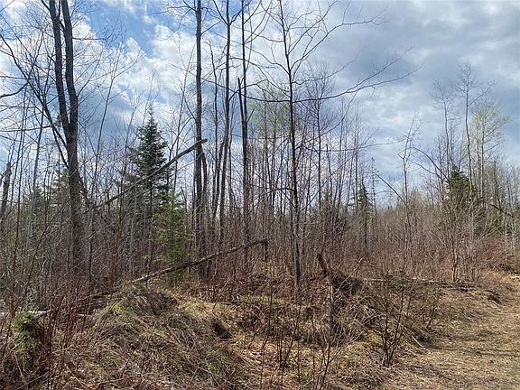 5th image of Near Wilson Lake Road