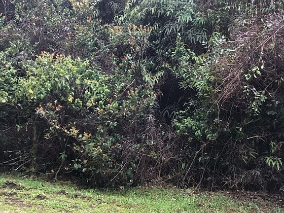 5th image of Kanahele Pl Lot 200