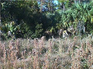 1st image of 438 Us Highway 98