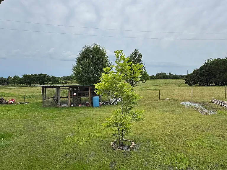 2037 County Road 112 — Photo 25
