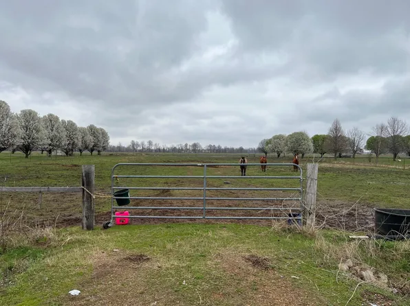 Wynnburg Bluebank Rd, Tiptonville, TN 38079