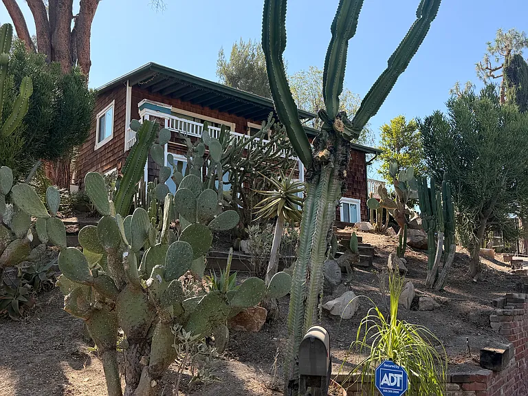 8625 Delmonico Ave — Photo 9