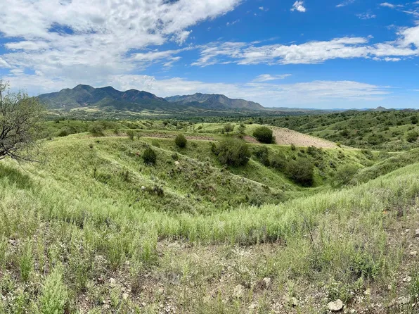 0 Proctor Ln #4, Patagonia, AZ 85624