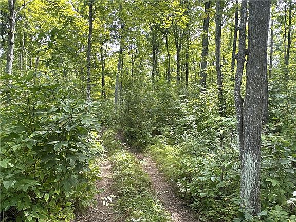 5th image of 0 E 16th Avenue
