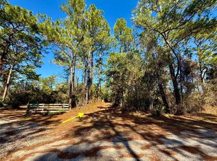 40001 Maggie Jones Rd, Paisley, FL 32767