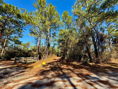 40001 Maggie Jones Rd, Paisley, FL, 32767
