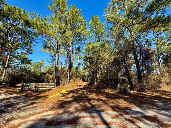 40001 Maggie Jones Rd, Paisley, FL 32767