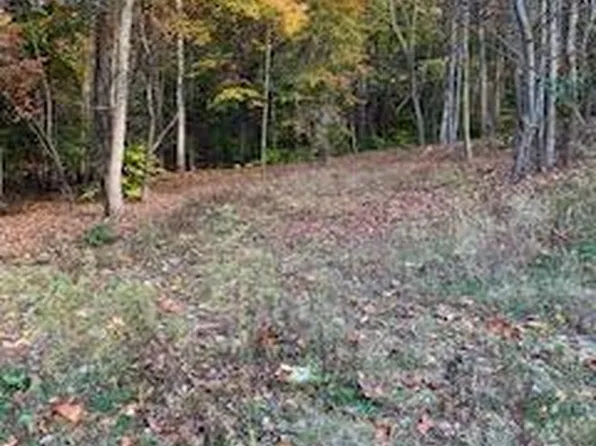 5003 Churchey Rd, Keedysville, MD 21756