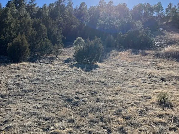 TRACT C 3rd Dm #65, Las Vegas, NM 87701