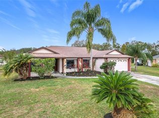 3039 China Berry Ct, Kissimmee, FL 34746