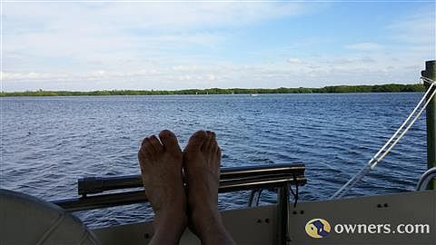 Weedon Island in back yard