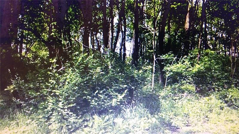 2nd image of 0 Barkley Church Rd