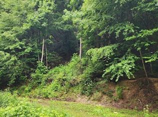 4473 Chavis Rd, Cosby, TN 37722