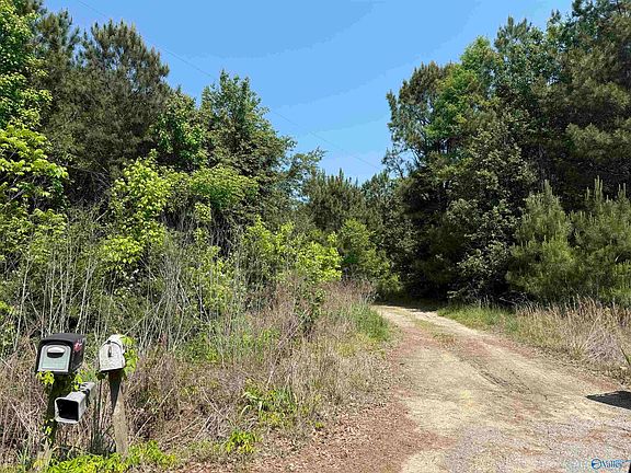 3rd image of 167 County Road 1592