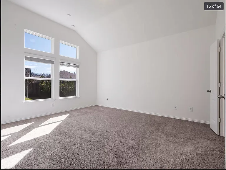 116 Cipressi Cv — Photo 3