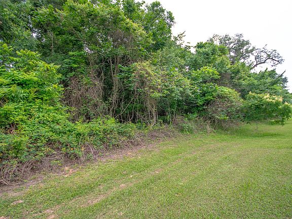 3rd image of 1015 W Point Dr